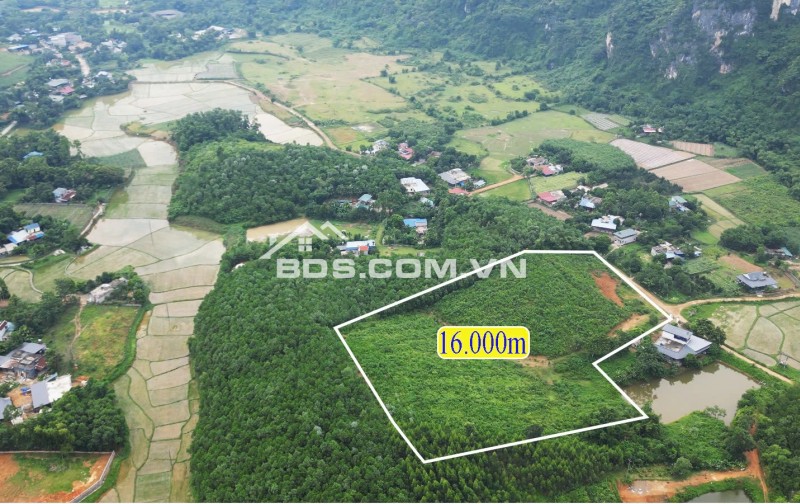 bán đất nghỉ dưỡng 1,6HA. 600k/m2. bám đường bê tông 50m, gần nghỉ dưỡng serena